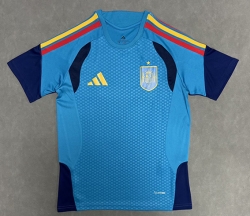 2026 Spain training uniform blue